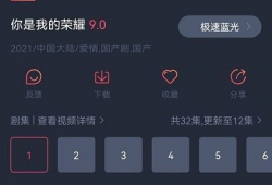 精品视频在线播放